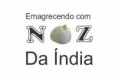 Noz da india ( produto natural) 12 Sementes
